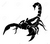 Arthropodes (117802)