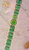 Autres bactéries Autres bactéries