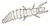 Entognathes (1548)