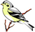 Oiseaux (1852)
