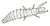 Entognathes