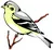 Oiseaux Oiseaux